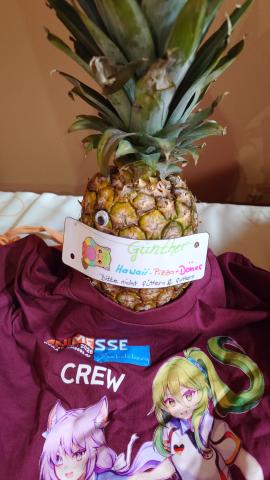 Eine Anans mit Kulleraugen und dem Schild "Günther - Hawaii-Pizza-Döner - Bitte nicht füttern & futtern" liegt auf einem Helfer-Shirt.